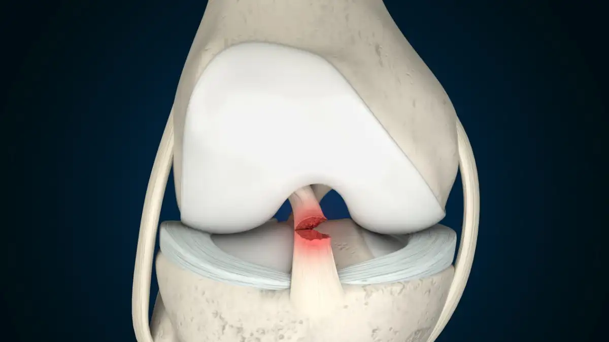 ligamenti kolena